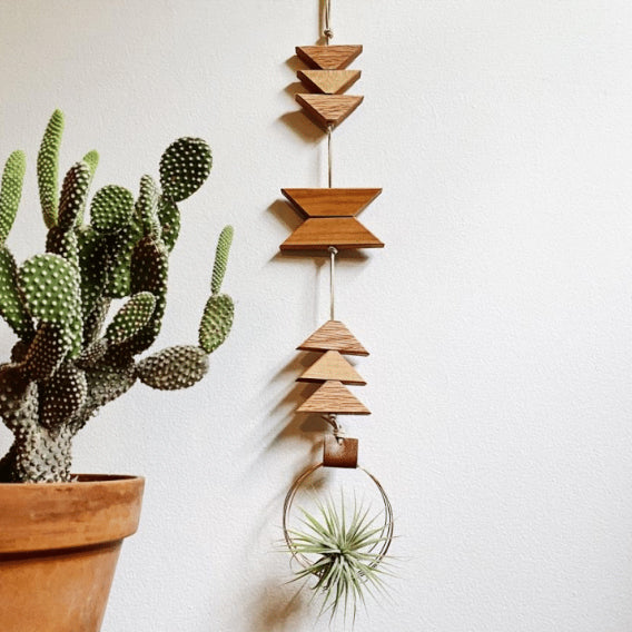 Modern Southwest Air Plant Wall Hanging – Wander by Wildly Urban